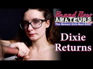 brand new amateurs - dixie returns